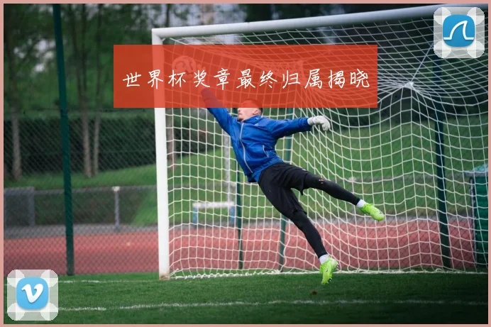 世界杯奖章最终归属揭晓