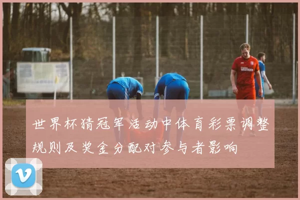 世界杯猜冠军活动中体育彩票调整规则及奖金分配对参与者影响